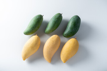 Tropical popular fruit, fully ripe mango and immature fruits on white background