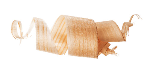 Curly wood shaving isolated on white background