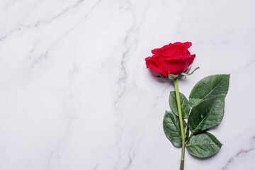 Single red rose on a white marble background with copy space and room for text