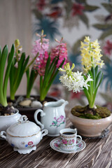 blooming hyacinths and vintage tableware on the table