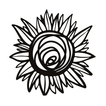 Hand drawn sunflower illustration for tattoo, pattern, poster
