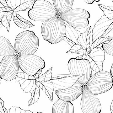 Dogwood branch with flowers seamless pattern. Cornus florida.  Line drawing.