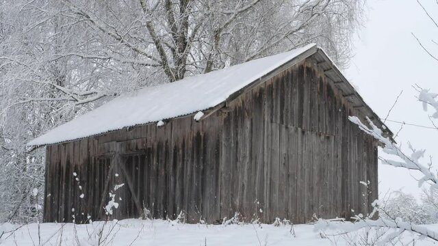 Snowfall, country courtyard, barn, Belarus 