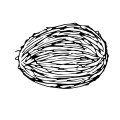 Coconut, vector illustration, hand drawing, sketch