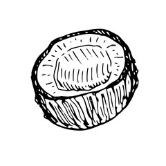 Half of coconut, vector illustration, hand drawing, sketch