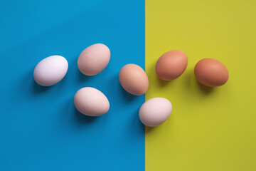 Organic eggs of different colors on a yellow blue background. View from above