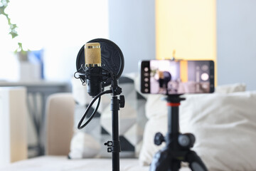 Professional microphone standing near video camera closeup