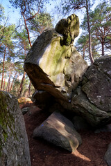 Famous sandtone rocks of the rocher Canon in fontainebleau forest