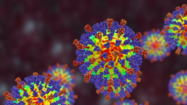 Measles virus. 3D animation showing measles viruses with surface glycoprotein spikes heamagglutinin-neuraminidase (blue) and fusion protein (red)