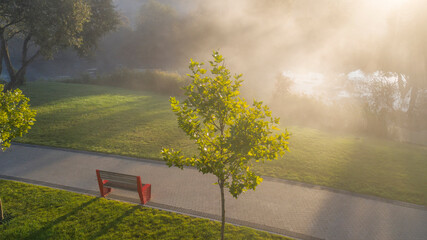 Dawn in the park. Fresh morning in the recreational area of Bucha