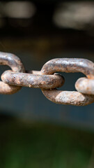 rusty chain from agricultural machinery with dark background