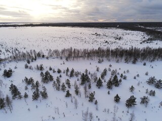 Winter drone view over snow covered bog area in Estonia