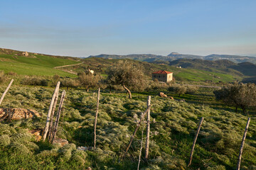 ancient manor house abandoned in the green valleys of Leonforte in Central Sicily