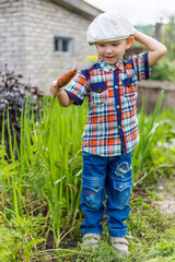 a small child in the garden digs a crop of vegetables and carrots