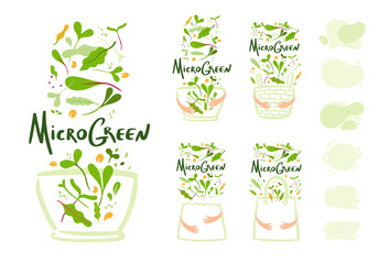 Microgreens or baby greens , lettering, logo,illustration objects