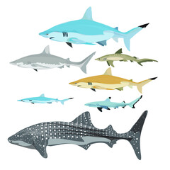 Shark Set, Sea water Wild Animal, Predators - Vecto