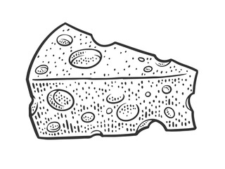 piece of cheese sketch raster illustration