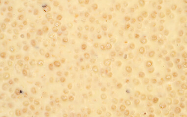 Macro photo of a sweet, delicious bar of chocolate photo taken from above