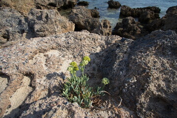 Rock formation in Elafonisi Lagoon on Crete in Greece, Europe

