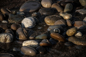 Obraz na płótnie Canvas Sea shore with stones and foam, pebble seascape. 
