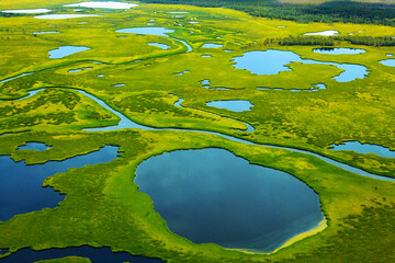 Fototapeta na wymiar Siberia. Aerial view of the Vasyugan swamp