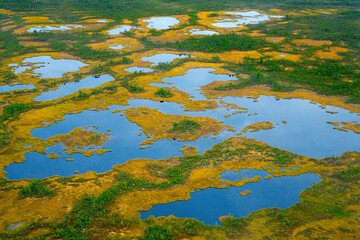 Fototapeta na wymiar Siberia. Aerial view of the Vasyugan swamp