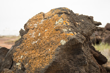 roca textura amarilla