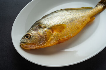 A fresh yellow croaker on a white plate
