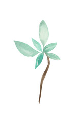 Watercolor leaf (branch with leaves) for decorative use of patterns, wedding and spring themes.	
