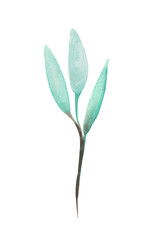 Watercolor leaf (branch with leaves) for decorative use of patterns, wedding and spring themes.	
