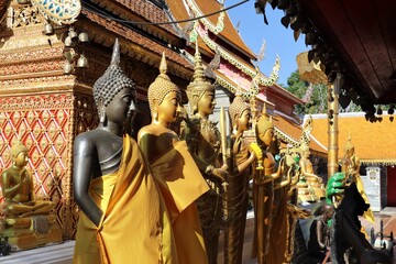 Standing Golden Buddha Statues in a Temple in Chiang Mai, Thailand
