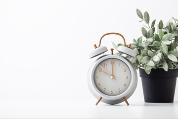 Alarm clock and plant in pot on white background