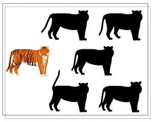 a game for preschool children. find the right shadow. Tiger. Silhouette.