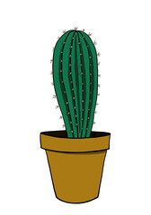 illustration of an oblong green cactus in a brown pot