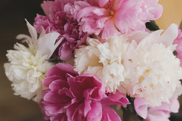 Beautiful peony bouquet in sunny light in room. Pink and white peonies flowers petals close up