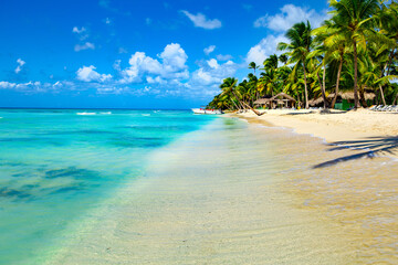 Fototapeta na wymiar Palm trees, blue sea and sunbeds on Saona Island, Dominican Republic