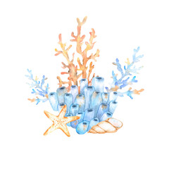 Composition of watercolor elements on the marine theme of blue and orange corals, various seashells in blue and beige tones.For postcards, prints on clothes, invitations, design for the holidays