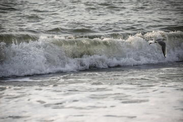 Sea wave close-up. Sea foam.