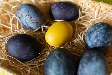 Fototapeta na wymiar Happy easter 2021. Colourful blue cosmic Eggs and one yellow egg in straw. 