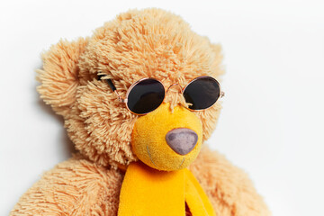 Toy of teddy bear wearing round sunglasses on white background. Close-up portrait.
