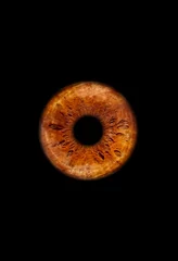 Schilderijen op glas Close up of a brown eye iris on black background, macro, photography © MT-R