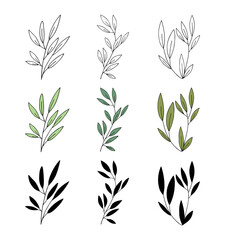 Set of tree branches in different versions: contour line, line with green color and silhouette. Hand drawn illustration, vector