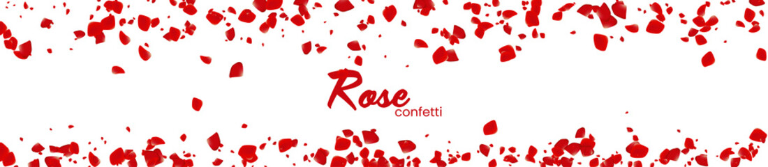 The Rose confetti on a white background. The Red flowers blossom. The Romantic creative composition. The Love concept.