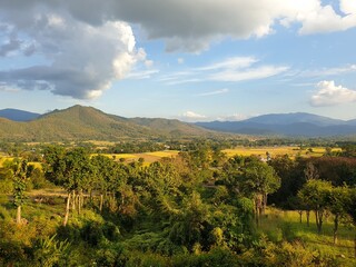 rice fields meet mountains in northern thailand