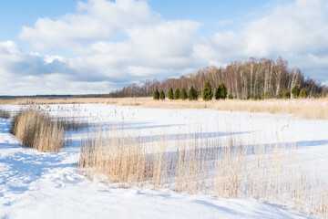 Fototapeta na wymiar Frozen Wetlands and Lake on a Cold Winter Day in Latvia