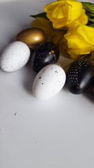 Easter composition of yellow tulips with and black and goid eggs..Copy space