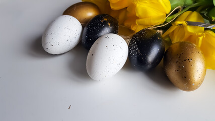 Copy space. Easter composition of yellow tulips with and black and goid eggs. 