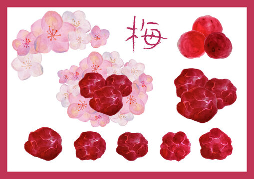 梅干しごはん の画像 5 045 件の Stock 写真 ベクターおよびビデオ Adobe Stock