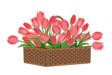 Red tulips in a flower basket. Floral design icon. Vector illustration, isolated on white.