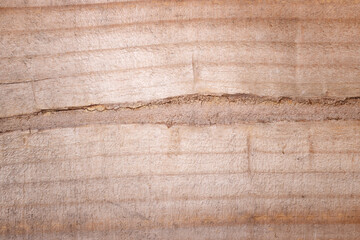 Plank wood with beautiful natural pattern texture. Empty wood background. Close up photography.